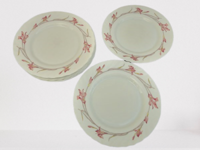 Assiettes vintage Arcopal iris 1980